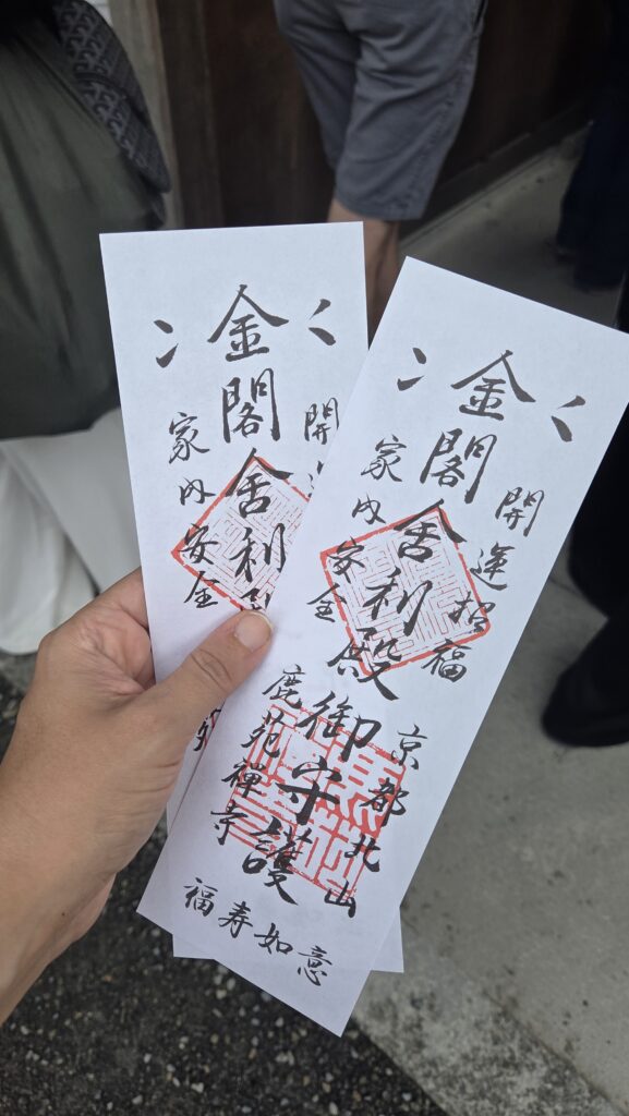 Guía Completa 2025 – Consejos